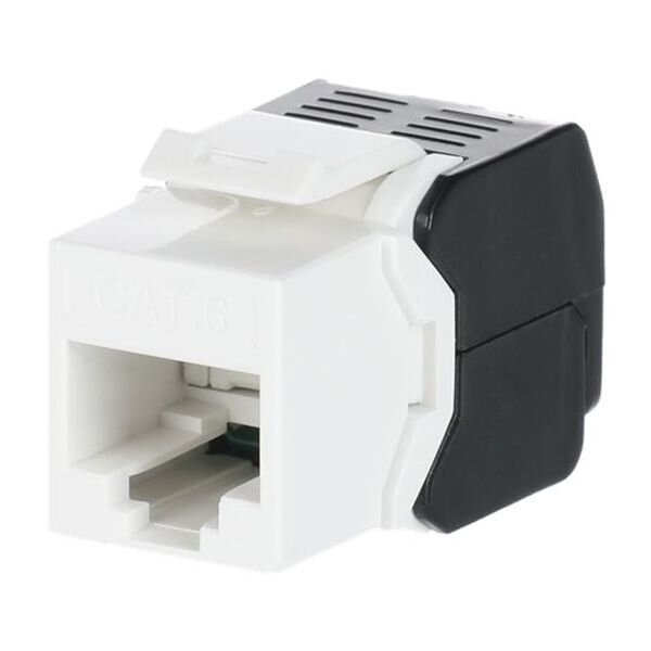 Striebel & John Buchse 2CPX038612R9999 ZE311 RJ45 Kunststof