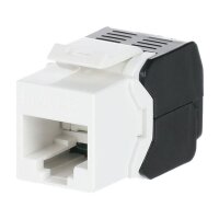 Striebel & John Buchse 2CPX038612R9999 ZE311 RJ45...