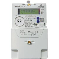 NZR Elektrikzähler Norax 1 D+ mME 0,25-5(60) A DT 2...