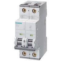 Siemens Leitungsschutzschalter 5SY4206-6 400V 10kA 2polig...