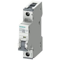 Siemens Leitungsschutzschalter 5SY6106-7 C6A 1polid 6kA