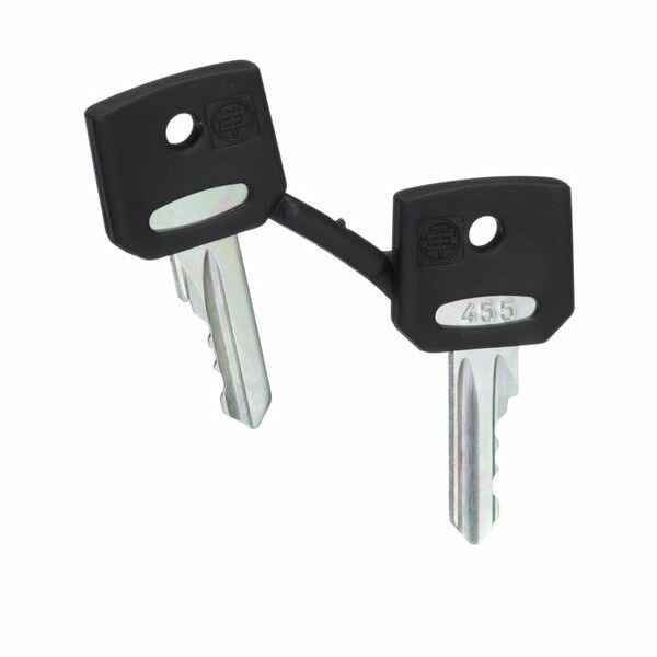 SCHN Ersatzschlüssel für Schlüsselschalter 455 PK=2Stck