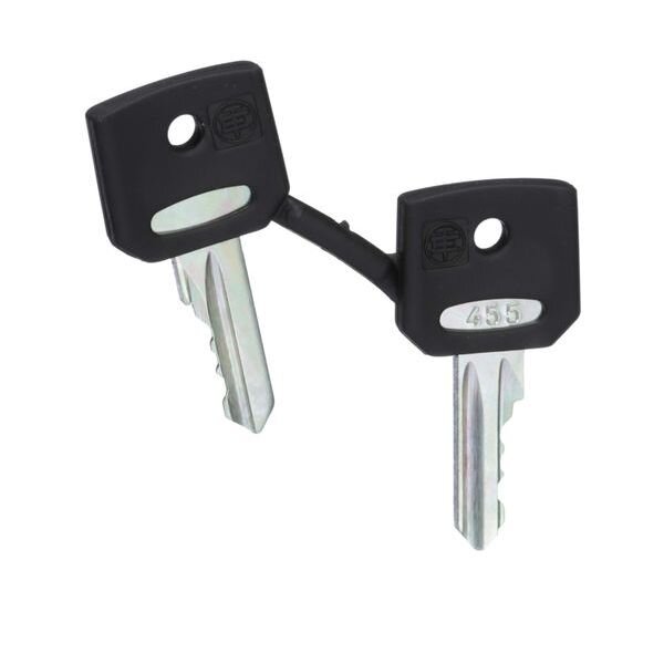Schneider Electric Ersatzschlüssel für Schlüsselschalter 455 PK=2Stck