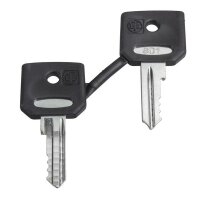 Schneider Electric Ersatzschlüssel für...