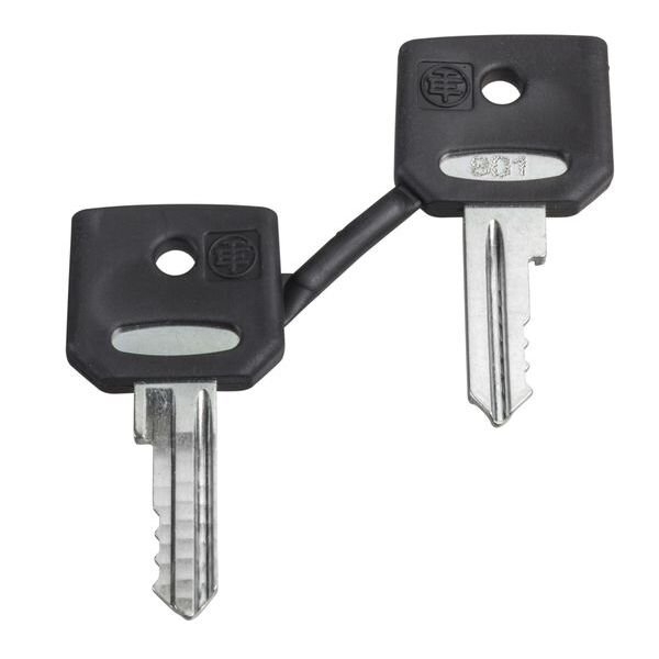 Schneider Electric Ersatzschlüssel f. Schlüsselschalter 8D1 PK=2Stck