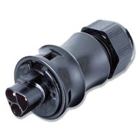 Wieland Buchsenstecker RST20i3S 3polig Stecker für...