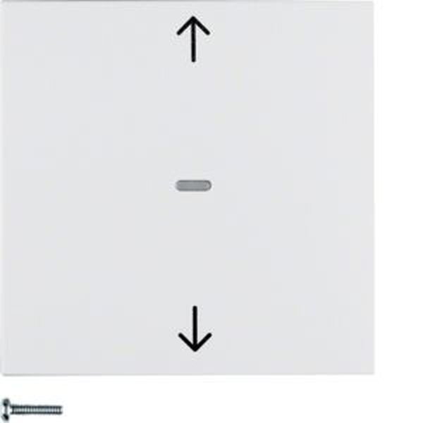 Berker Jalousie-Taste 85241188 polarweiss matt