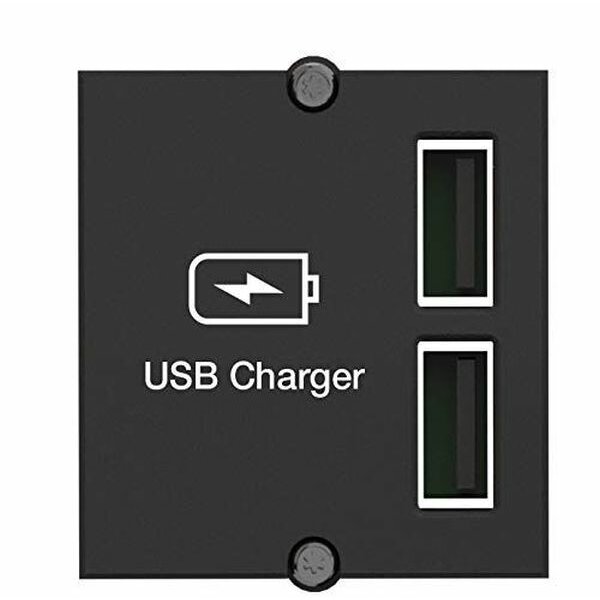 Bachmann Custom Modul USB Charger 5V/2,4A 0,2m GST18