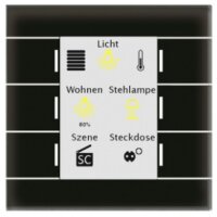 MDT Glastaster II Smart Farbdisplay Temperatursensor sw