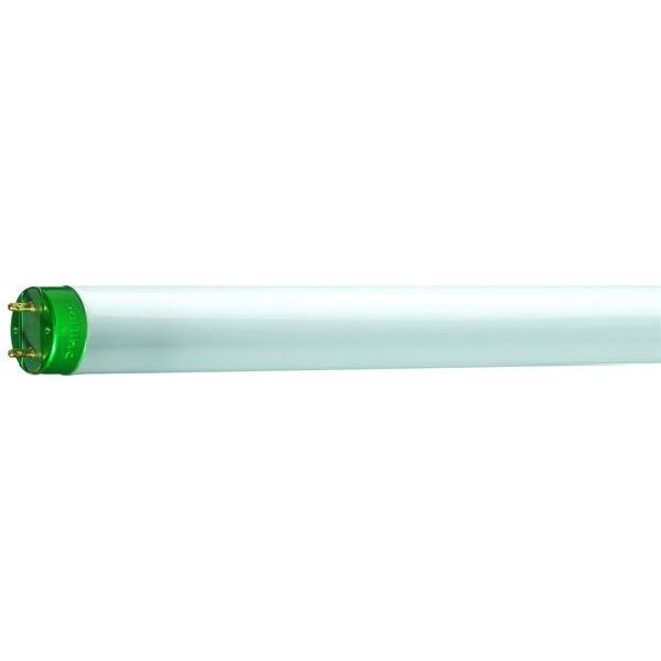 Philips Leuchtstofflampe Master TL-D Eco 16W 840 1SL/25