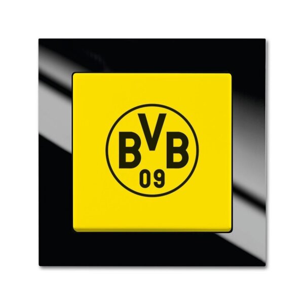 Busch-Jaeger Fanschalter im Schmuckkarton 2000/6 UJ/01 BVB