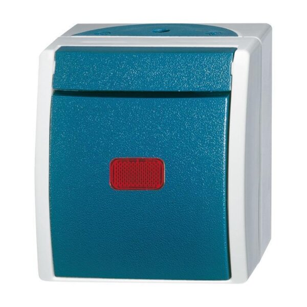 Busch-Jaeger Kontrollwechselschalter 2601/6 SKW-53 ocean 10A 1polig gr/blgr