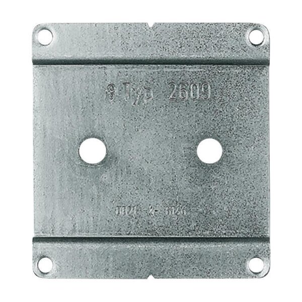 Busch-Jaeger Montageplatte 2609 WS metall