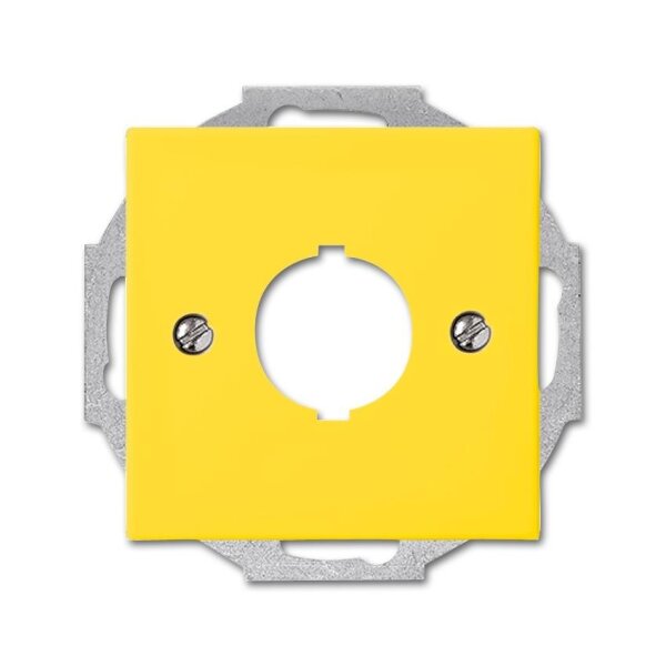 Busch-Jaeger Zentralscheibe 2533-914-15 22,5mm gelb gelb