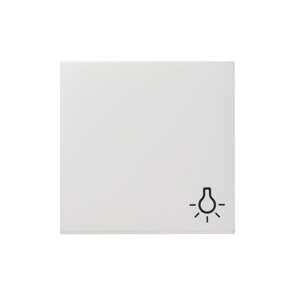 GIRA Wippe 028503 Symbol Licht System 55 reinweiss