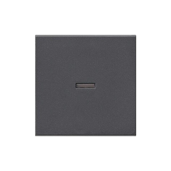 GIRA Wippe 029028 Kontrollfenster System 55 ant