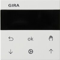 GIRA Jalousie- und Schaltuhr 536627 Display System 55...