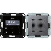 GIRA UP-Radio 228028 RDS System 55 anthrazit