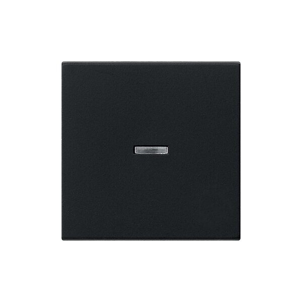 GIRA Wippe 0290005 System 55 schwarz