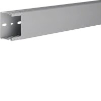 TEHALIT Verdrahtungskanal BA64006007030B 40x60 grau