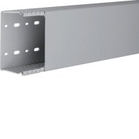 TEHALIT Verdrahtungskanal BA66010007030B 60x100 grau