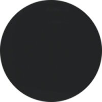Berker Wippe 16202045 schwarz glänzend