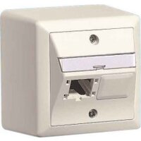 RDM Global Anschlussdose 80x80 leer R310786 Aufputz 2x1-Port