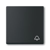 Busch-Jaeger Wippe 2520 KI-885 Symbol Klingel schwarz matt