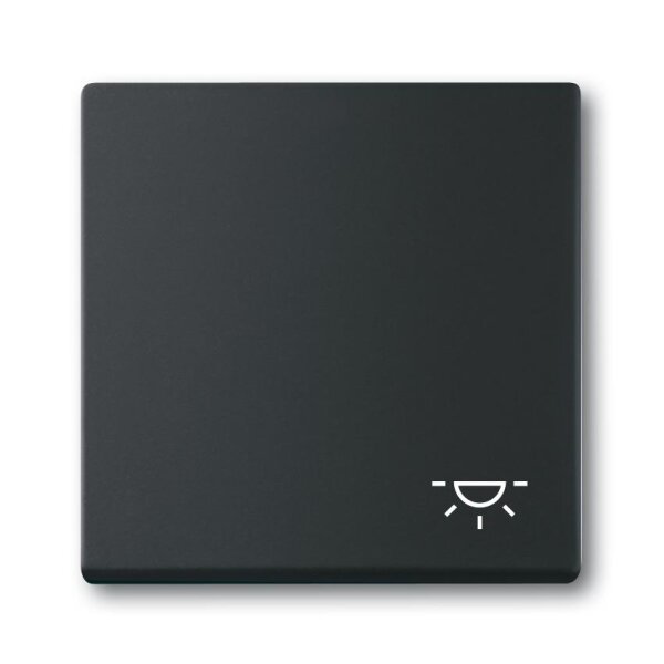 Busch-Jaeger Wippe 2520 LI-885 Symbol Licht schwarz matt