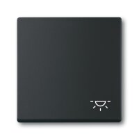 Busch-Jaeger Wippe 2520 LI-885 Symbol Licht schwarz matt