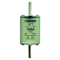 PROTEC NH-Sicherung PSI NH2 TR 100A