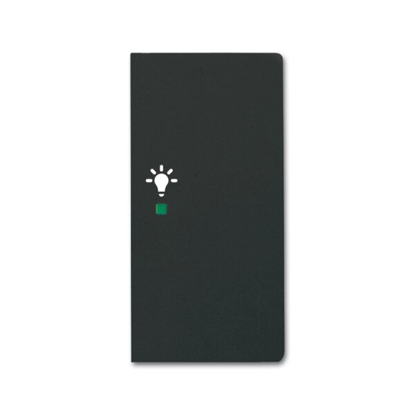 Busch-Jaeger Wippe 6231-22-885 2fach Licht schwarz matt