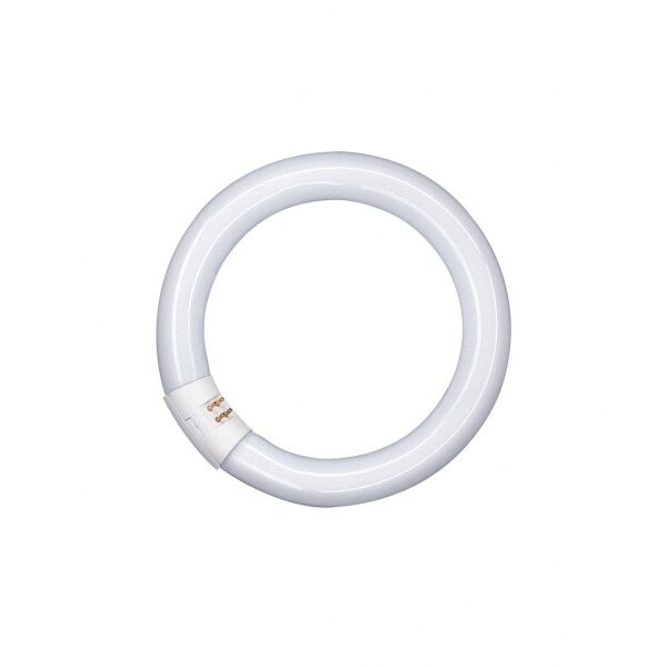 Osram Leuchtstofflampe L 32W 840 C G10Q FLH