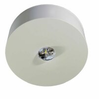 RP-Technik LED-Notleuchte Decke Flur EB+Wireless Basic 3h