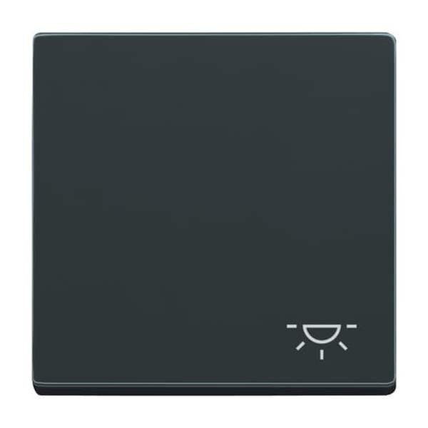 Busch-Jaeger Wippe 2520 LI-81 Symbol Licht anthrazit