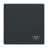Busch-Jaeger Wippe 2520 LI-81 Symbol Licht anthrazit