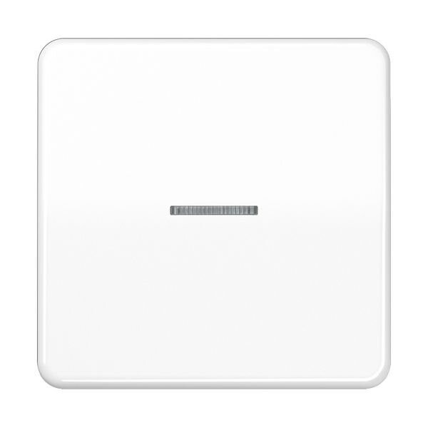 JUNG Wippe CD590KO5WW für Schalter/Taster