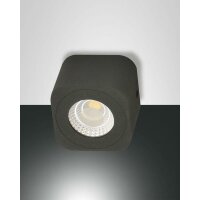 Fabas Luce LED-Wand- / Deckenleuchte LB22 anthrazit...