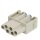 Harting Steckverbinder Han E Q uick-Lock module female