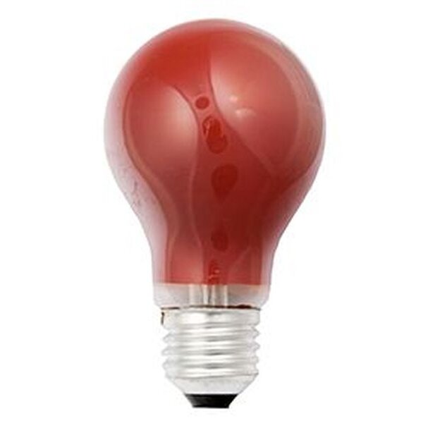 Scharnberger GlühLampe rot 230V 15W E27 40240