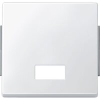 Merten Wippe 343819 polarweiss AQUADESIGN