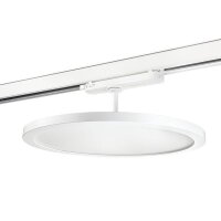 SG-Leuchten LED-Stromschienenstrahler LB22 Sense 320...