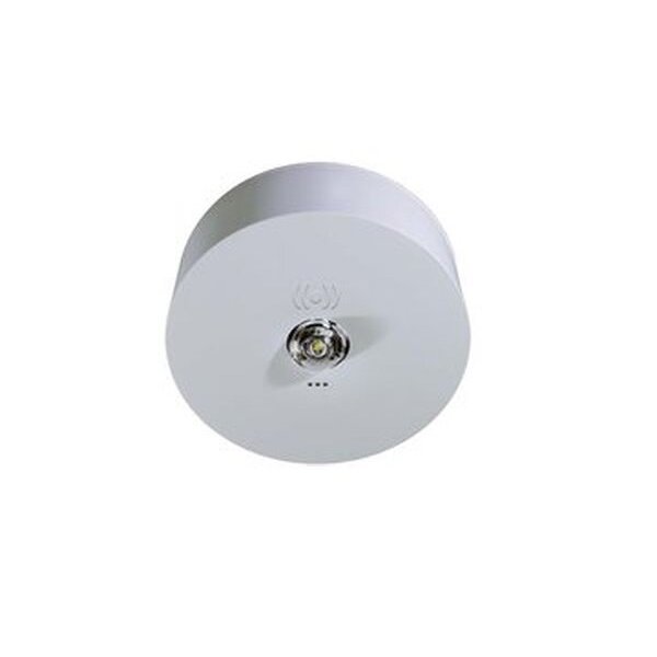 RP-Technik LED-Notleuchte ILDK423SC