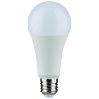 PROTEC LED-Leuchtmittel LB22 PLED A60 20W Birnenform E27 20W