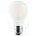 PROTEC LED-Leuchtmittel LB22 PLED A60FM 7W Birne Fila matt E27 7W