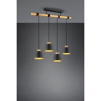 Trio Leuchten Pendelleuchte LB22 max. 40W...