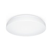 Steinel LED-Wand- / Deckenleuchte RS PRO P1-R FL. S NW