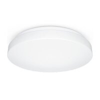 Steinel LED-Wand- / Deckenleuchte RS PRO P2-R FL. S NW