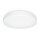Steinel LED-Wand- / Deckenleuchte RS PRO P2-R FL. S NW
