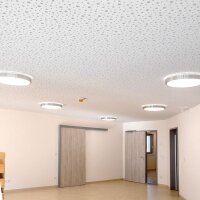 Dotlux LED-Wand- / Deckenleuchte LUNAsilver D:330mm 18W...